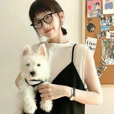 夏日大追击